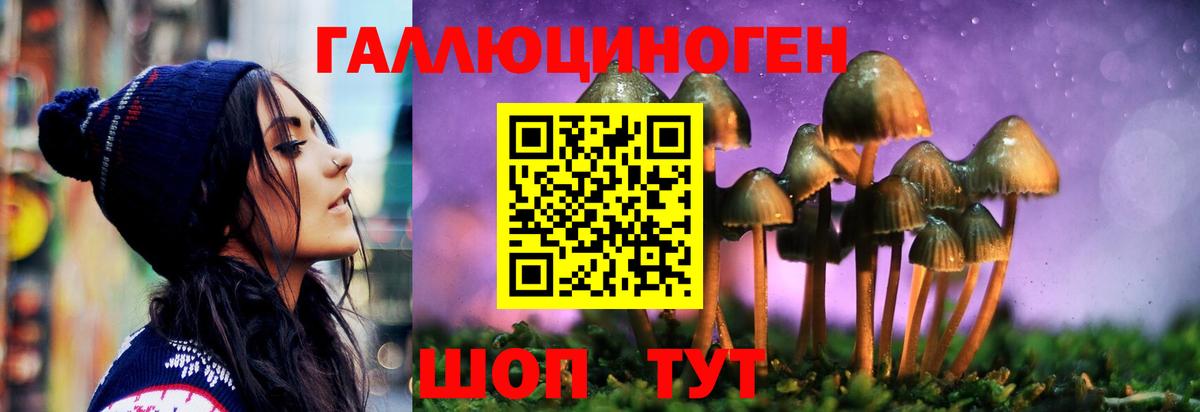Псилоцибиновые грибы Cubensis  Вход с VPN  как найти закладки  Выборг 
